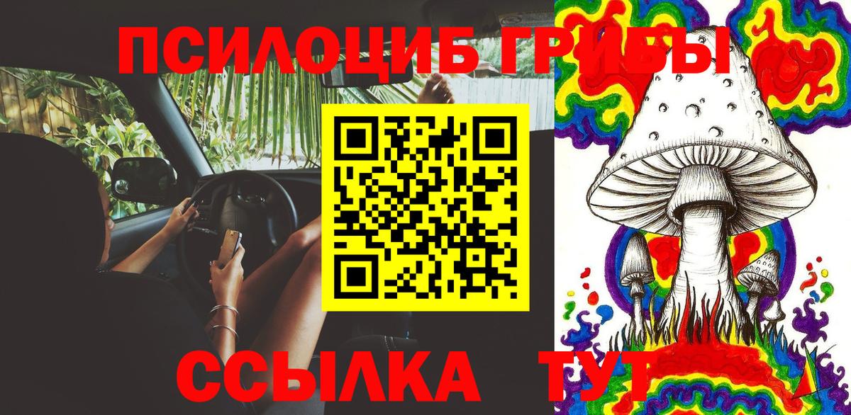 Артёмовский  Псилоцибиновые грибы MAGIC MUSHROOMS  Вход с VPN  Галлюциногенные грибы Psilocybine cubensis 