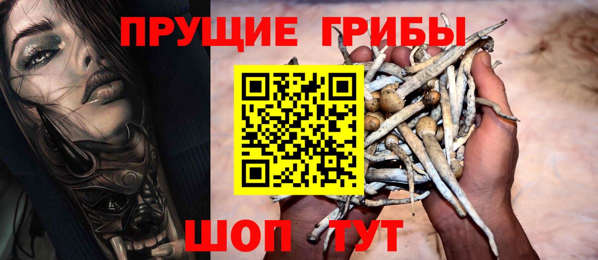 Псилоцибиновые грибы Psilocybe Артёмовский